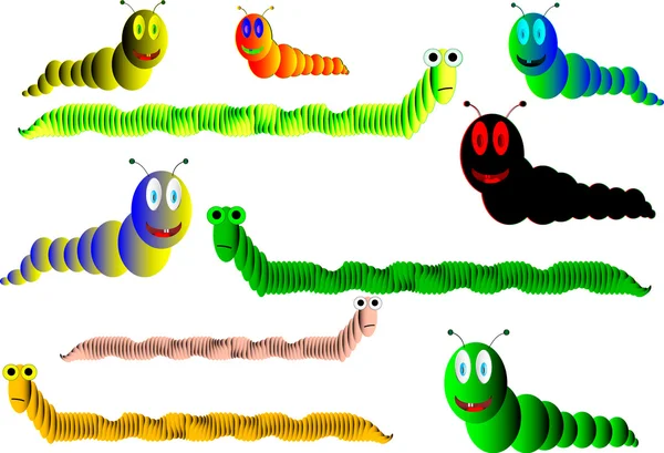 Würmer und Raupen auf weißem Hintergrund — Stockvektor