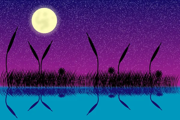 Göl gece sahne ile çim siluet — Stok Vektör