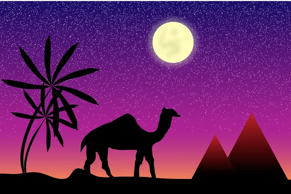 Gece Mısır — Stok Vektör