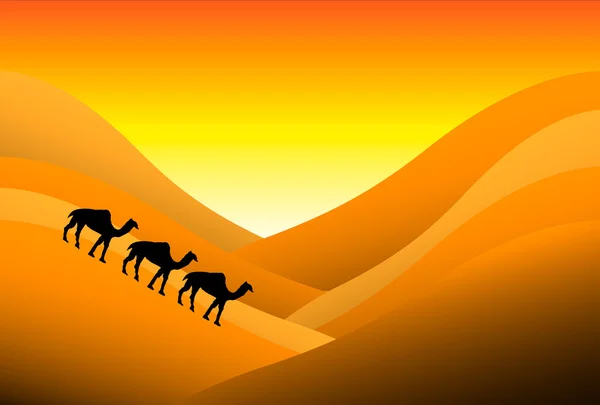 Закат в пустыне — стоковый вектор
