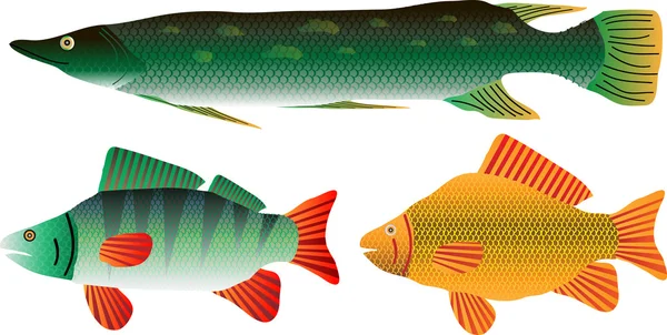 Set di pesci — Vettoriale Stock