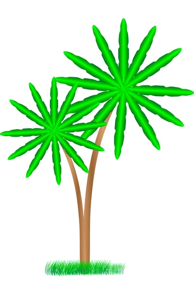 야자나무 — 스톡 벡터