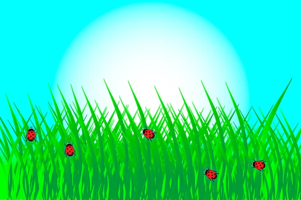 Gras mit Marienkäfern — Stockvektor