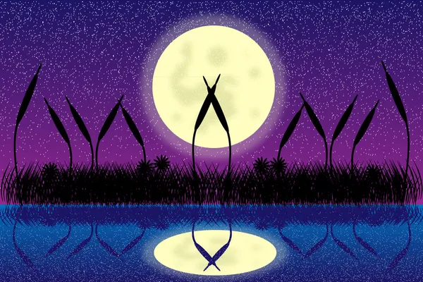 Escena nocturna de lago con silueta de hierba — Vector de stock