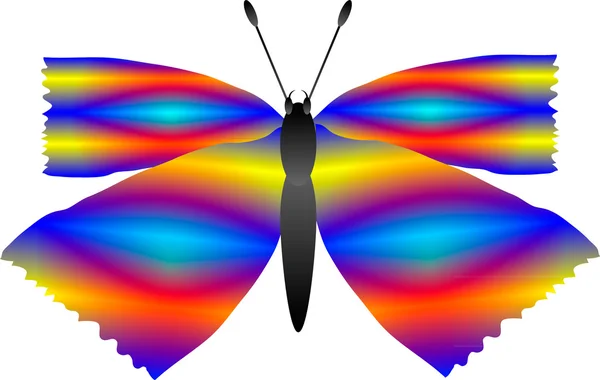Mariposa sobre blanco — Vector de stock