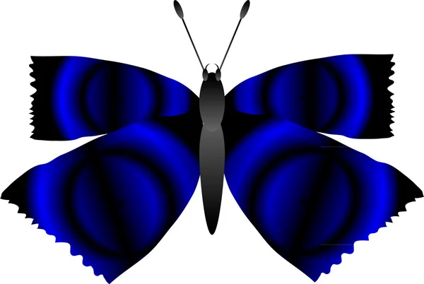 Метелик на білий — стоковий вектор
