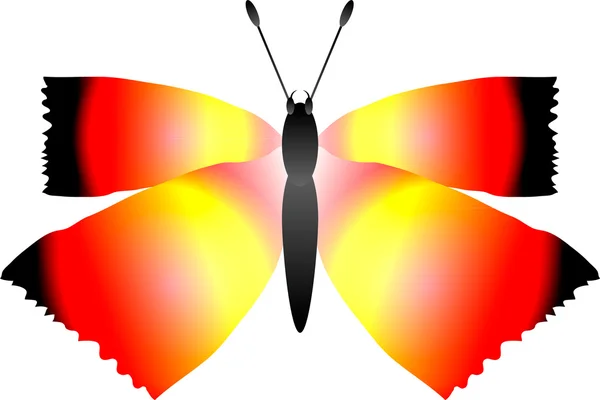 Motýl na bílém — Stockový vektor