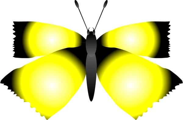 Farfalla su bianco — Vettoriale Stock