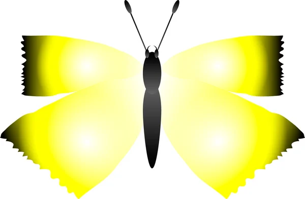 Fluture pe alb — Vector de stoc