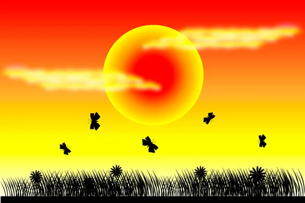 Метелики на фоні заходу сонця — стоковий вектор