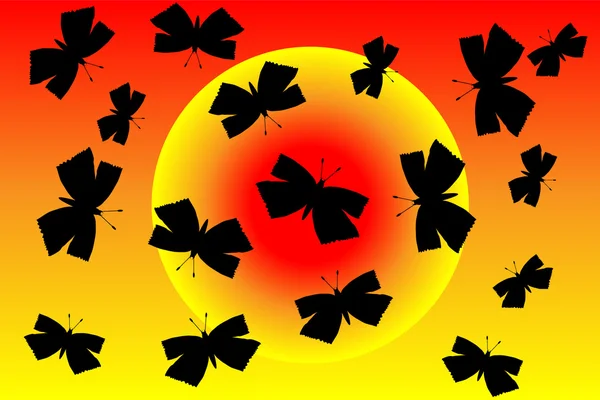 Butterflies silhouette at sunset — Stock Vector
