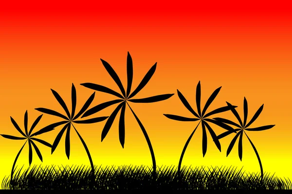 Palmiers Et Coucher De Soleil D'été — Image vectorielle