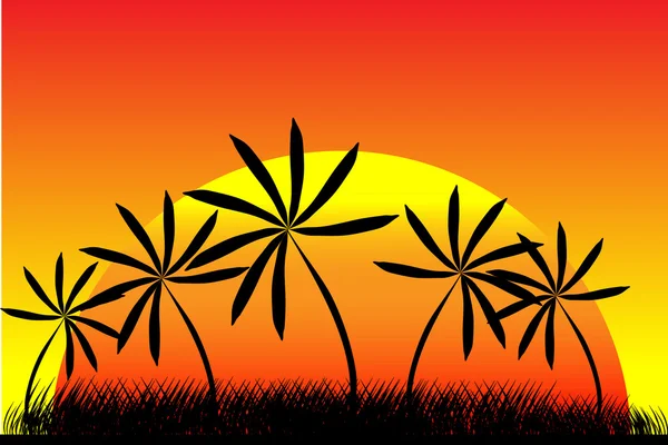 Pálmafák és nyári naplementében — Stock Vector