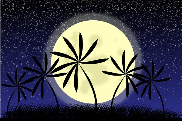 Palmiers la nuit tropicale — Image vectorielle