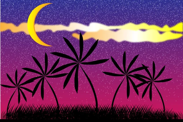 Palmen in tropischer Nacht — Stockvektor