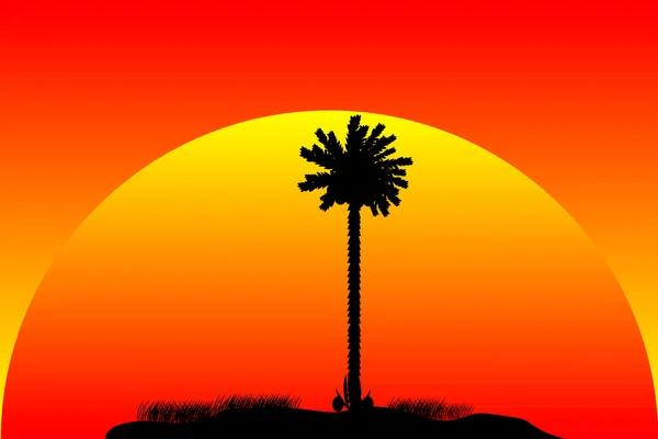 Silhouette einer tropischen Insel bei Sonnenuntergang — Stockvektor