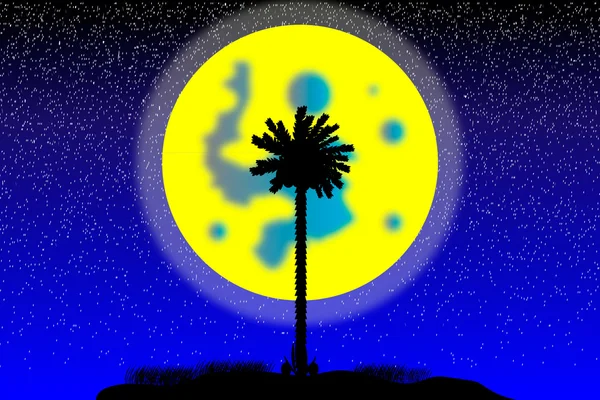 Silhouet van een tropisch eiland bij nacht — Stockvector
