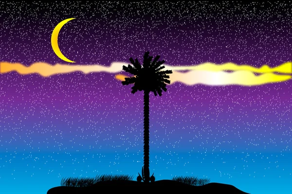 Silhouette d'une île tropicale la nuit — Image vectorielle