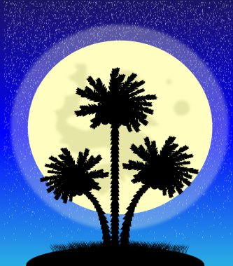 Geceleri palmiye ağaçları silüeti
