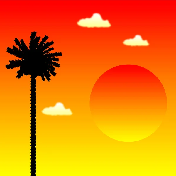 Тропічних захід сонця — стоковий вектор