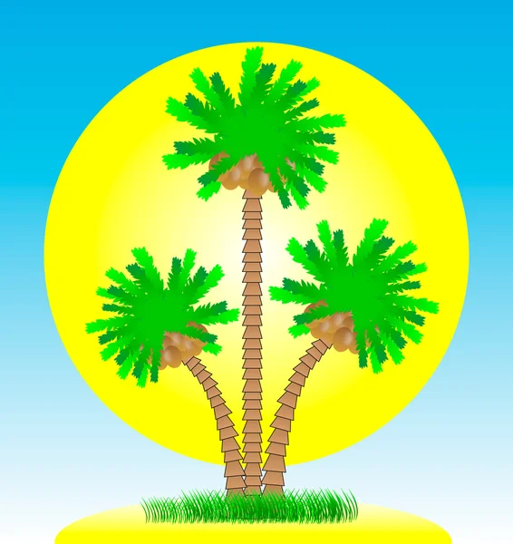 Palmiers et île. Jour — Image vectorielle