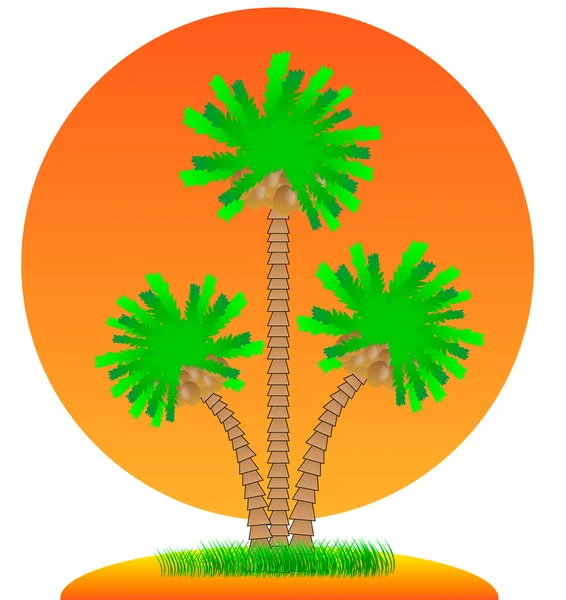 Palmen und Insel. — Stockvektor