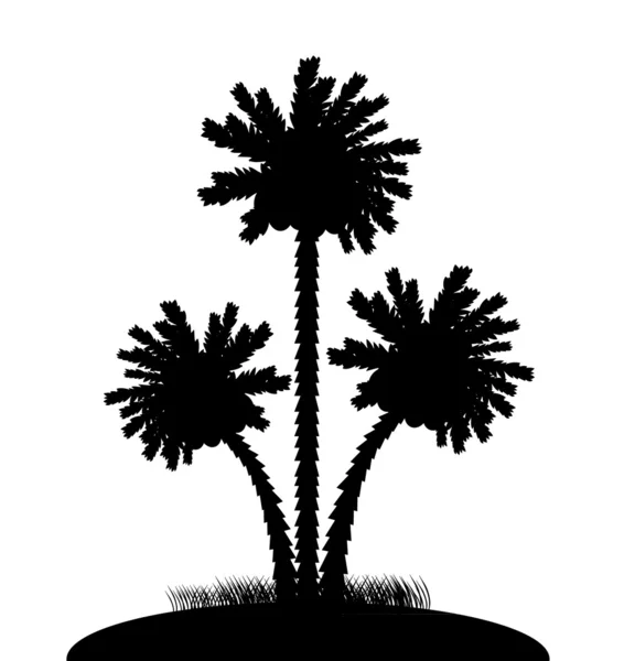 Sylwetka palmy na białym — Wektor stockowy