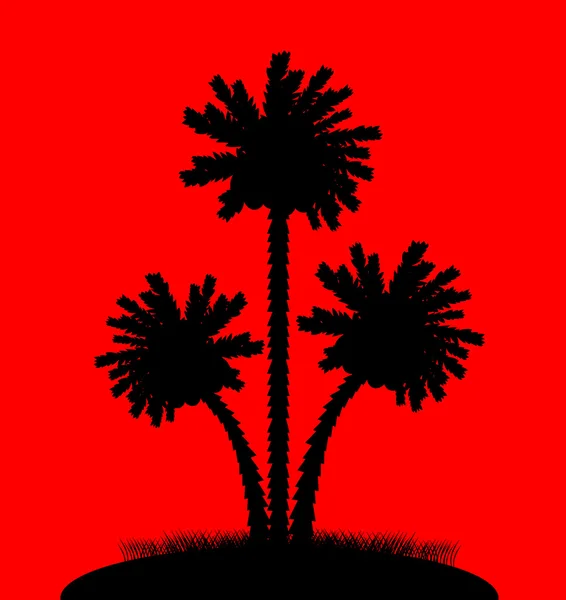 Silueta de palmeras sobre fondo rojo — Vector de stock