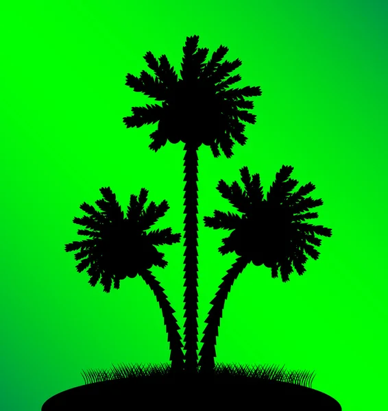 Silhouette einer Palme auf grünem Hintergrund — Stockvektor