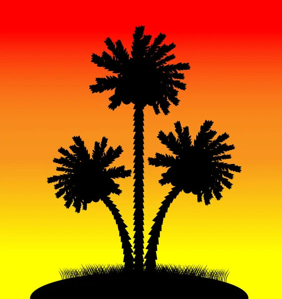 Silhouette di palme al tramonto — Vettoriale Stock