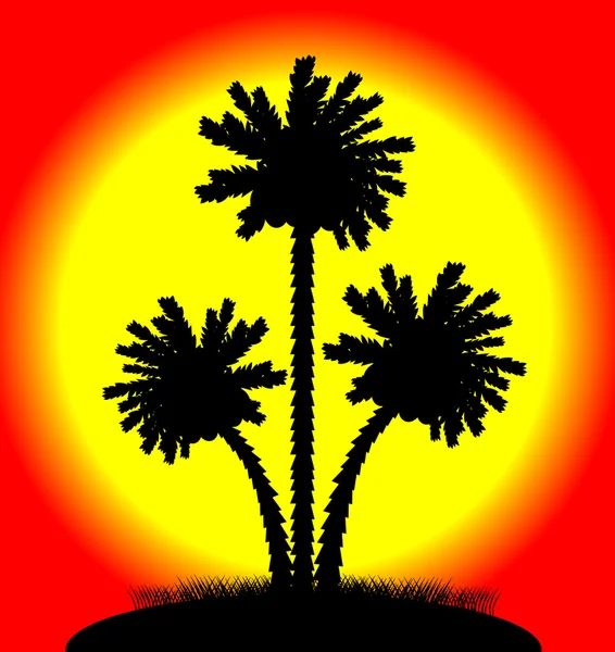 Silhueta de palmeiras ao pôr-do-sol — Vetor de Stock