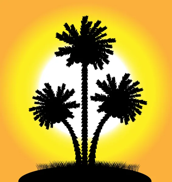 Silhuett av en palm vid solnedgången — Stock vektor