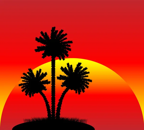 Silhouette of a palm trees at sunset — Stock Vector