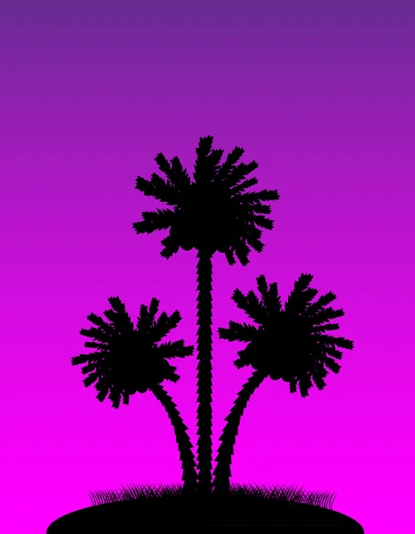 Silhouet van een palmbomen. 's avonds — Stockvector