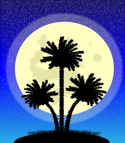 Silhuetten av en palmer på natten — Stock vektor