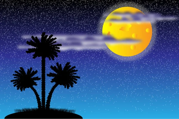 Силует пальмових дерев вночі — стоковий вектор