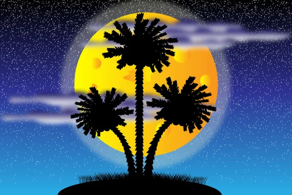 Silhouet van een palmbomen nachts — Stockvector