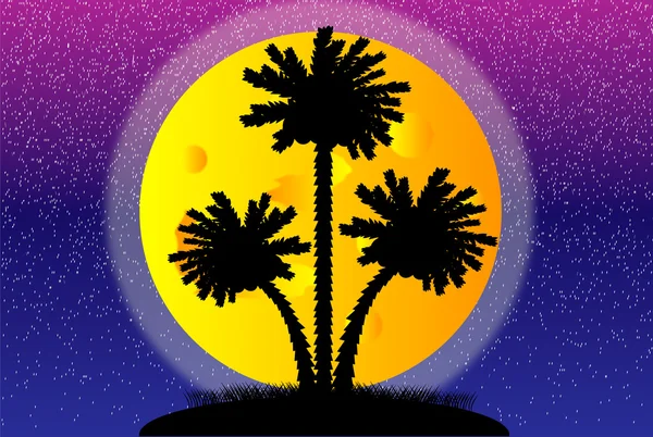 Силуэт пальм ночью — стоковый вектор