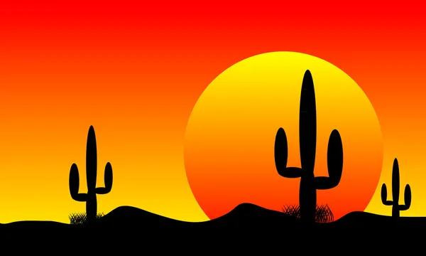 Puesta de sol en el desierto con plantas de cactus — Vector de stock
