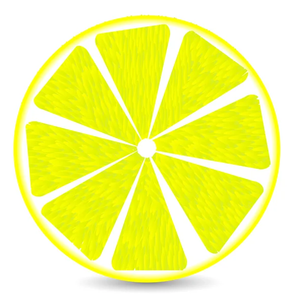 Rebanada de limón — Archivo Imágenes Vectoriales