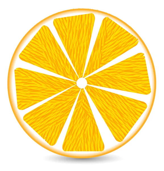Pomarańczowy segmentu — Wektor stockowy