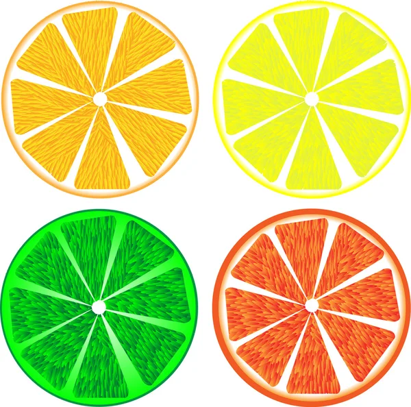 Цитрусові шматочки фруктів ізольовані на білому — стоковий вектор