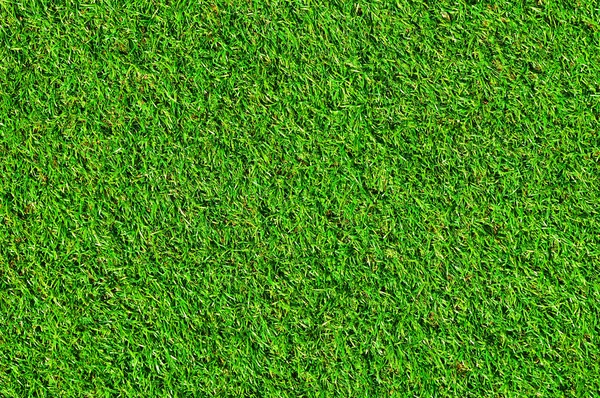 Zielona trawa w tle — Zdjęcie stockowe