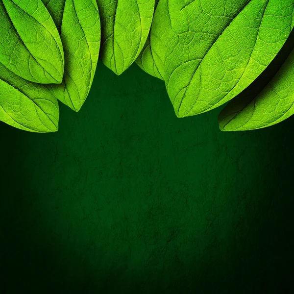Yeşil sızıntı arka plan — Stok fotoğraf