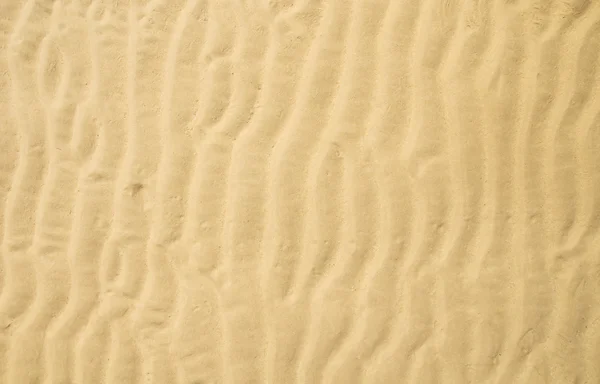 stock image Sand ripple