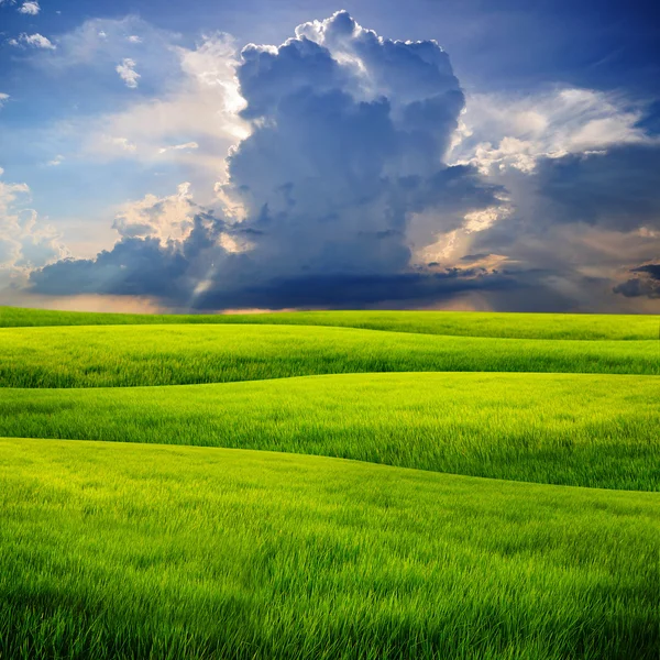 Raining cloud over grass field — Stock Photo, Image