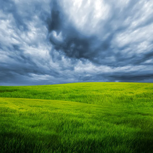 Storm cloud over grass field — Stock Photo, Image