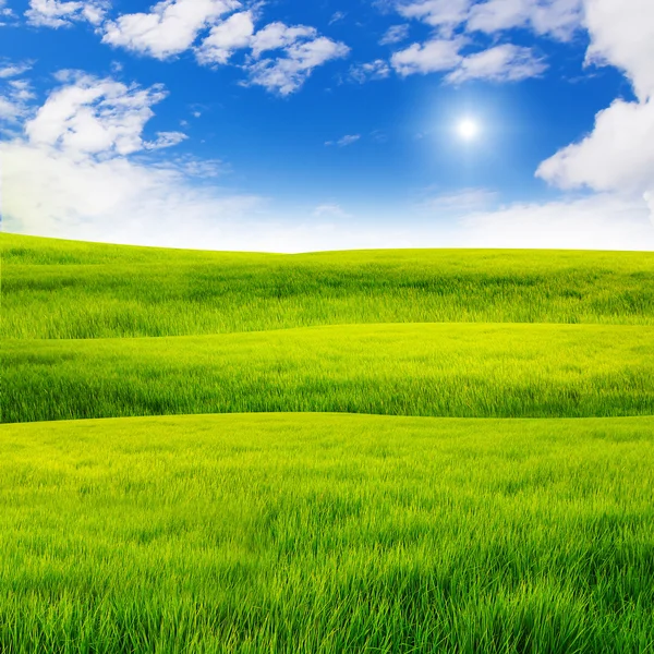 Ciel agréable sur la colline d'herbe — Photo