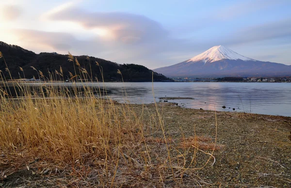 Mt. Fuji — стокове фото