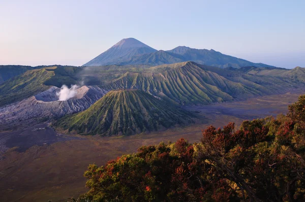 Bromo volcano — Stock Photo, Image